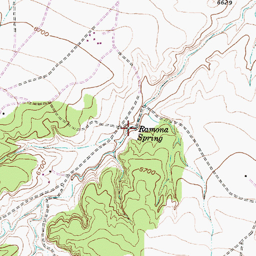 Topographic Map of Ramona Spring, NM