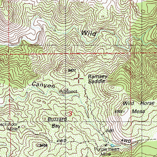 Topographic Map of Ramsey Saddle, NM