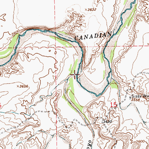 Topographic Map of Rana Arroyo, NM