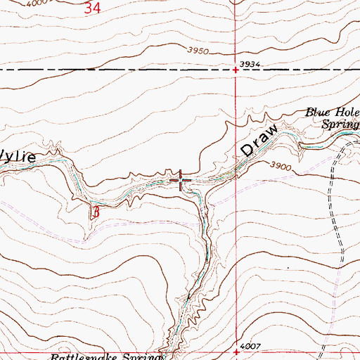 Topographic Map of Rattlesnake Canyon, NM