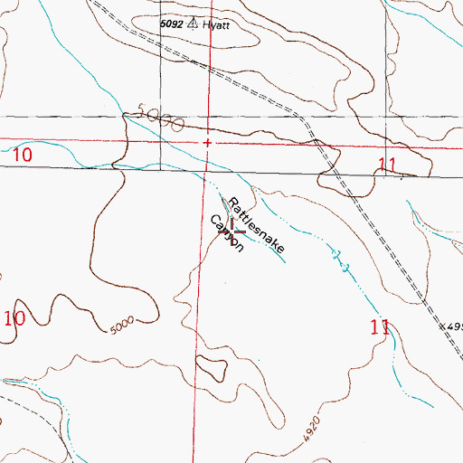 Topographic Map of Rattlesnake Canyon, NM