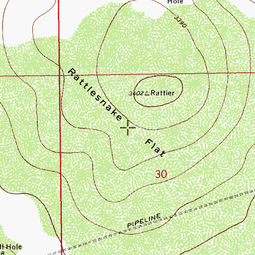 Topographic Map of Rattlesnake Flat, NM