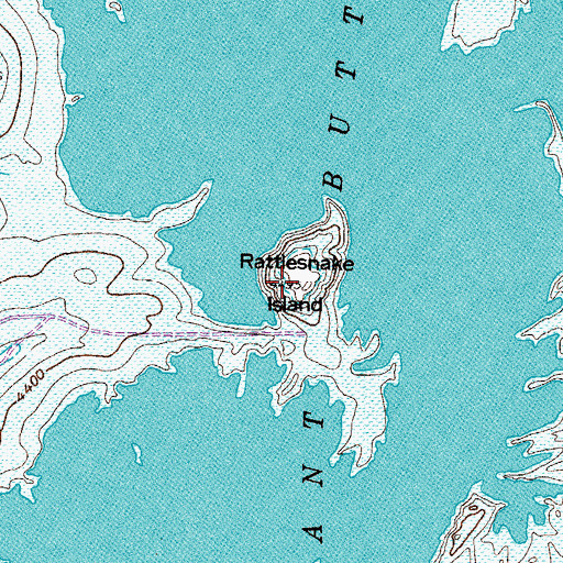 Topographic Map of Rattlesnake Island, NM