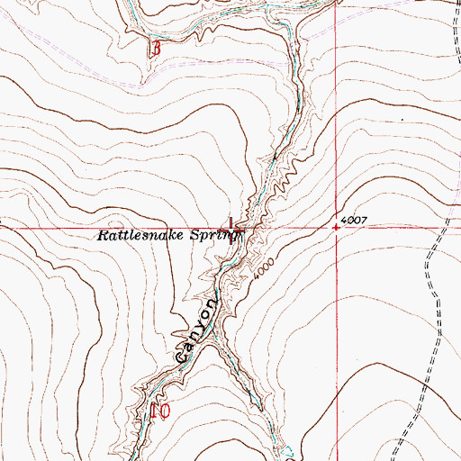 Topographic Map of Rattlesnake Spring, NM