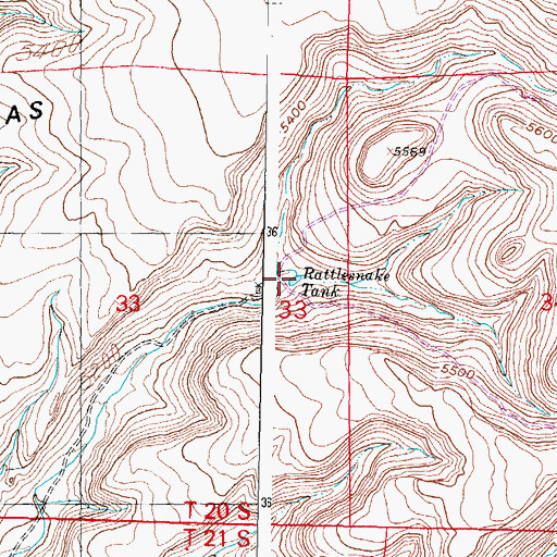 Topographic Map of Rattlesnake Tank, NM
