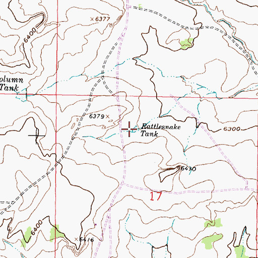 Topographic Map of Rattlesnake Tank, NM