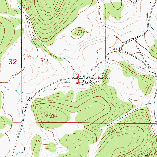 Topographic Map of Rattlesnake Well, NM