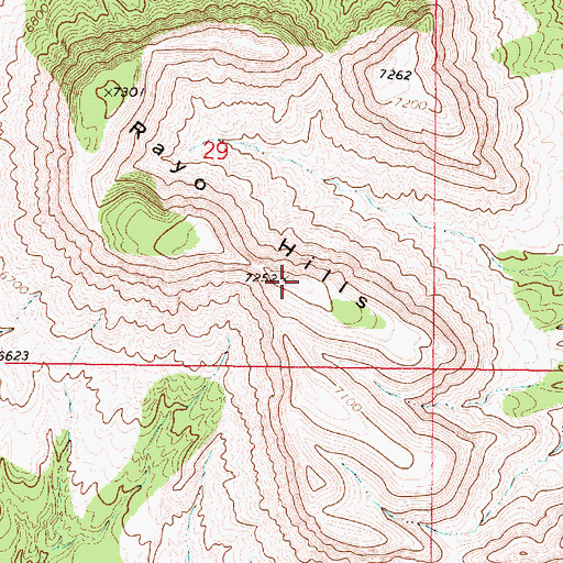 Topographic Map of Rayo Hills, NM