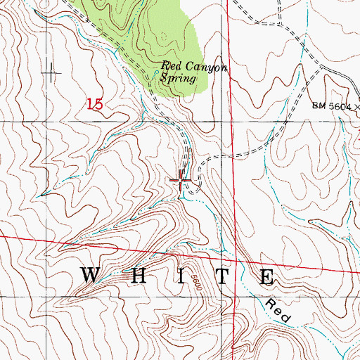 Topographic Map of Red Canyon Spring, NM