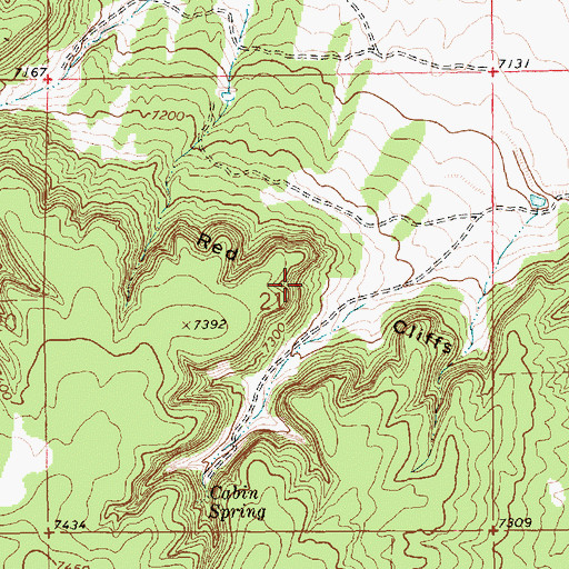 Topographic Map of Red Cliffs, NM