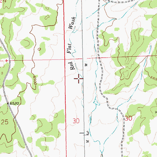 Topographic Map of Red Flat Wash, NM