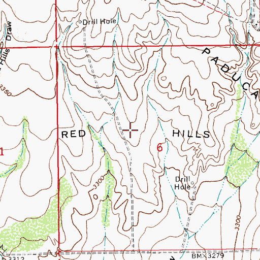 Topographic Map of Red Hills, NM