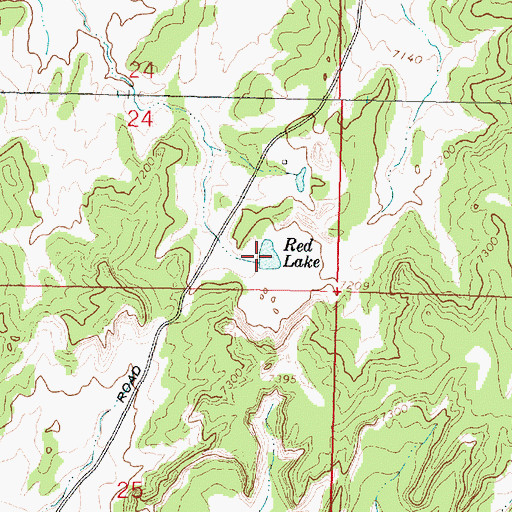 Topographic Map of Red Lake, NM