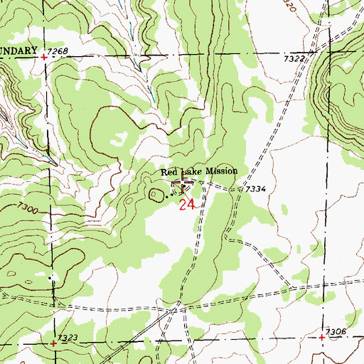 Topographic Map of Red Lake Mission, NM