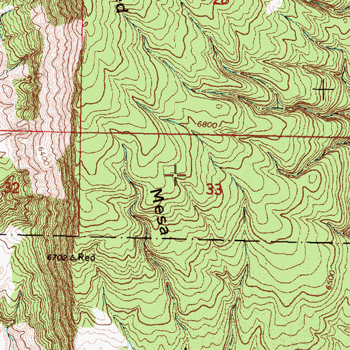 Topographic Map of Red Mesa, NM