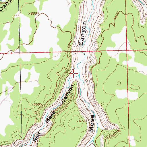 Topographic Map of Red Mesa Canyon, NM