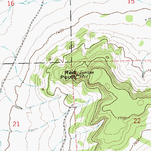 Topographic Map of Red Point, NM