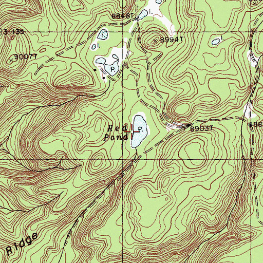 Topographic Map of Red Pond, NM