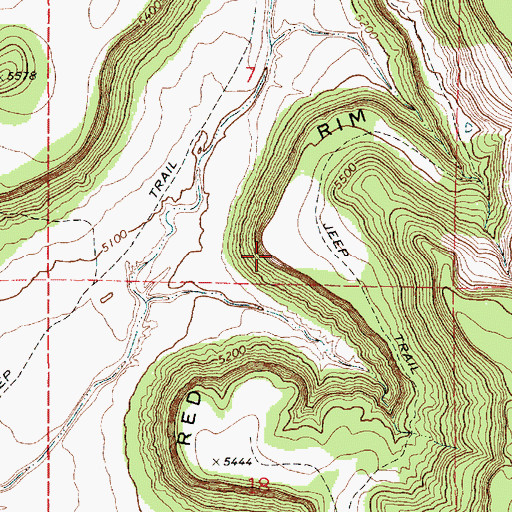 Topographic Map of Red Rim, NM