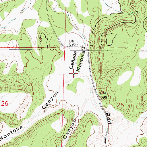 Topographic Map of Red Tanks Canyon, NM