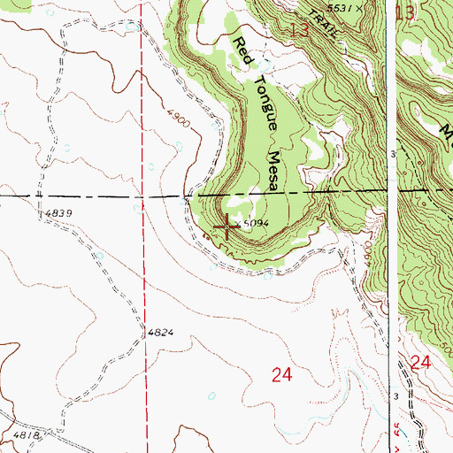 Topographic Map of Red Tongue Mesa, NM