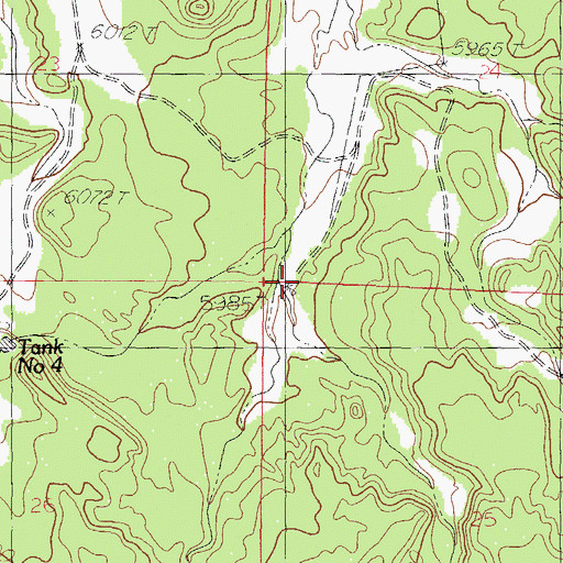 Topographic Map of Red Windmill, NM