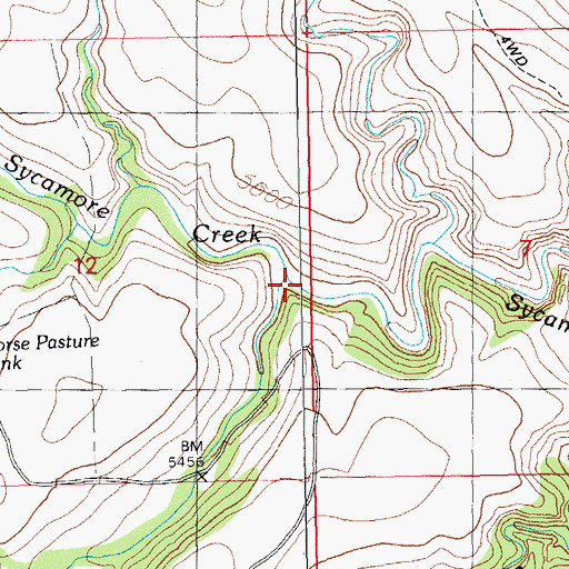 Topographic Map of Reece Canyon, NM