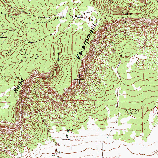 Topographic Map of Reed Escarpment, NM