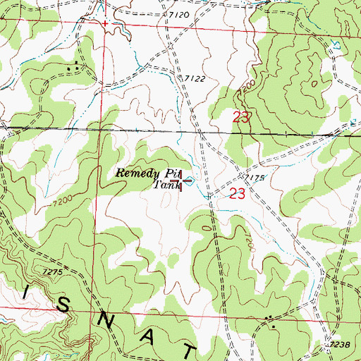 Topographic Map of Remedy Pit Tank, NM