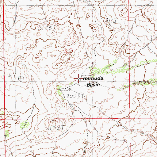 Topographic Map of Remuda Basin, NM