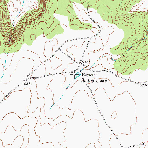 Topographic Map of Repres de las Uvas, NM