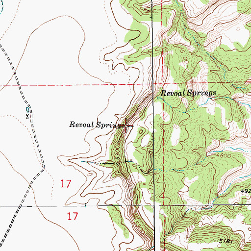 Topographic Map of Revoal Springs, NM