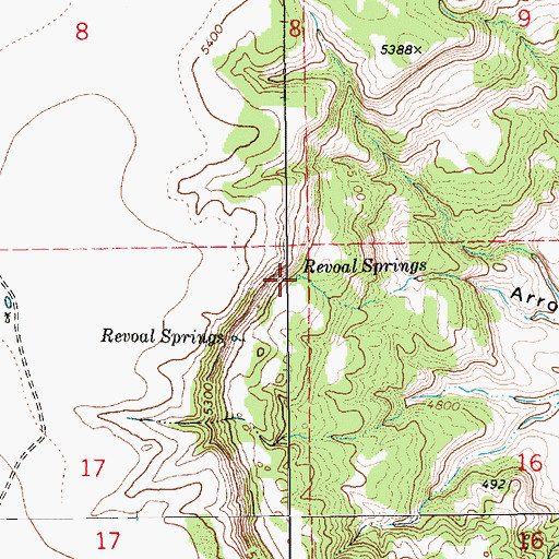 Topographic Map of Revoal Springs, NM