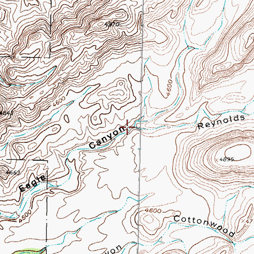 Topographic Map of Reynolds Canyon, NM