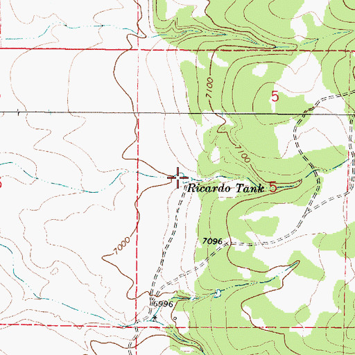Topographic Map of Ricardo Tank, NM