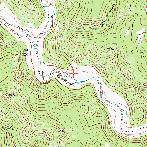 Topographic Map of Rice Canyon, NM
