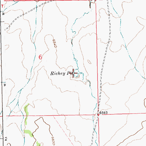 Topographic Map of Richey Pit, NM