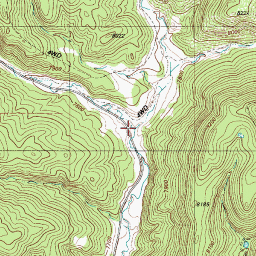 Topographic Map of Right Fork York Canyon, NM