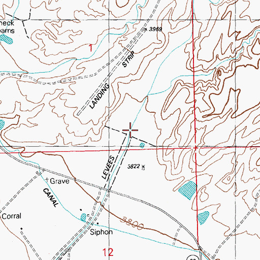 Topographic Map of Riley Canyon, NM