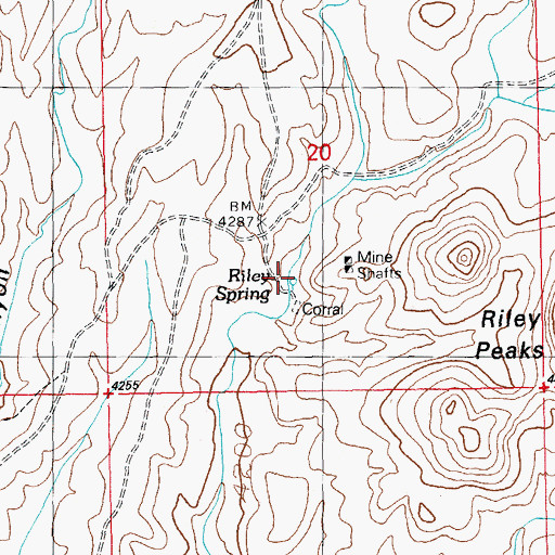 Topographic Map of Riley Spring, NM