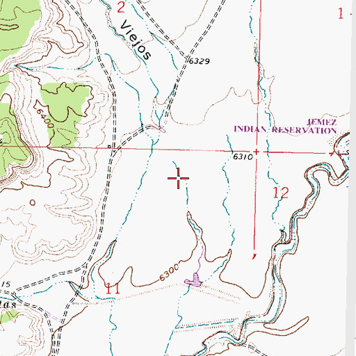 Topographic Map of Rincon de los Viejos, NM