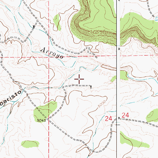 Topographic Map of Rincon de Ebaristo, NM