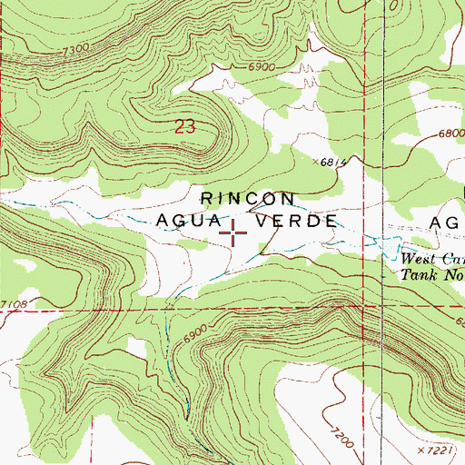 Topographic Map of Rincon Agua Verde, NM