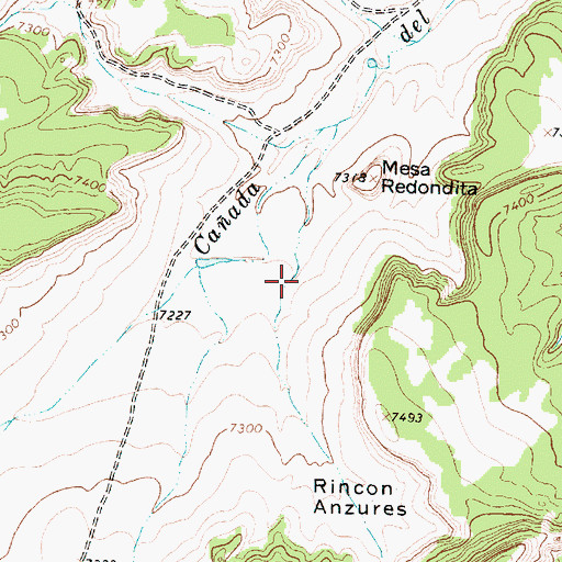 Topographic Map of Rincon Anzures, NM