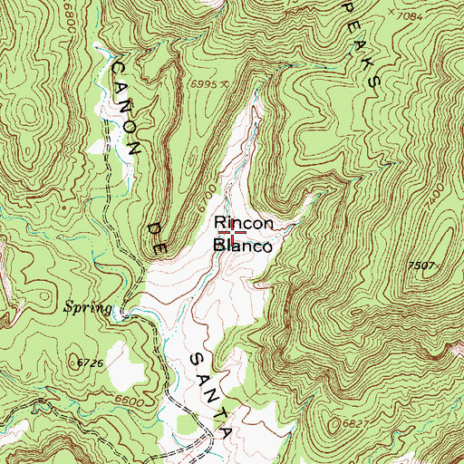 Topographic Map of Rincon Blanco, NM