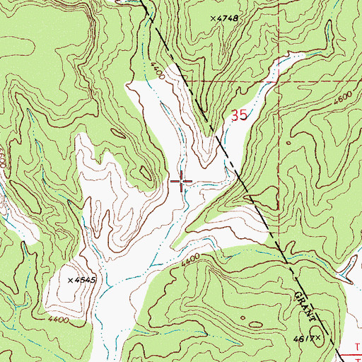 Topographic Map of Rincon Canyon, NM