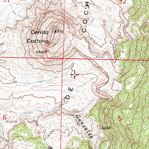 Topographic Map of Rincon De Cochino, NM