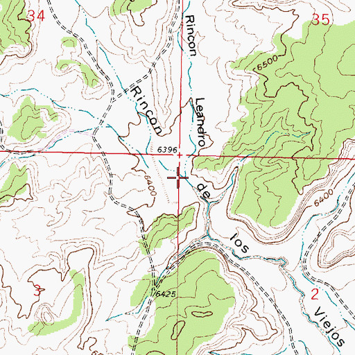 Topographic Map of Rincon Leandro, NM