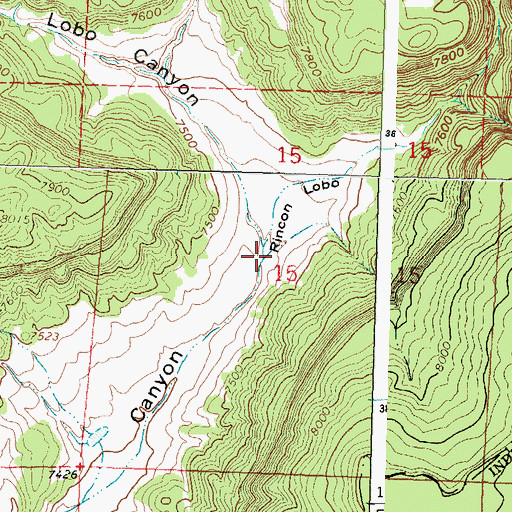 Topographic Map of Rincon Lobo, NM