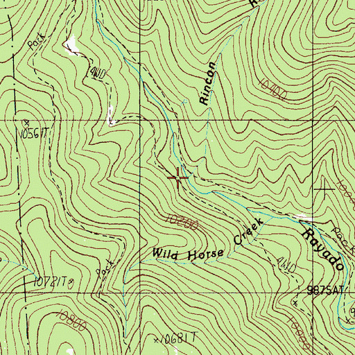 Topographic Map of Rincon Rayado, NM